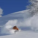 Chalet Abacus
