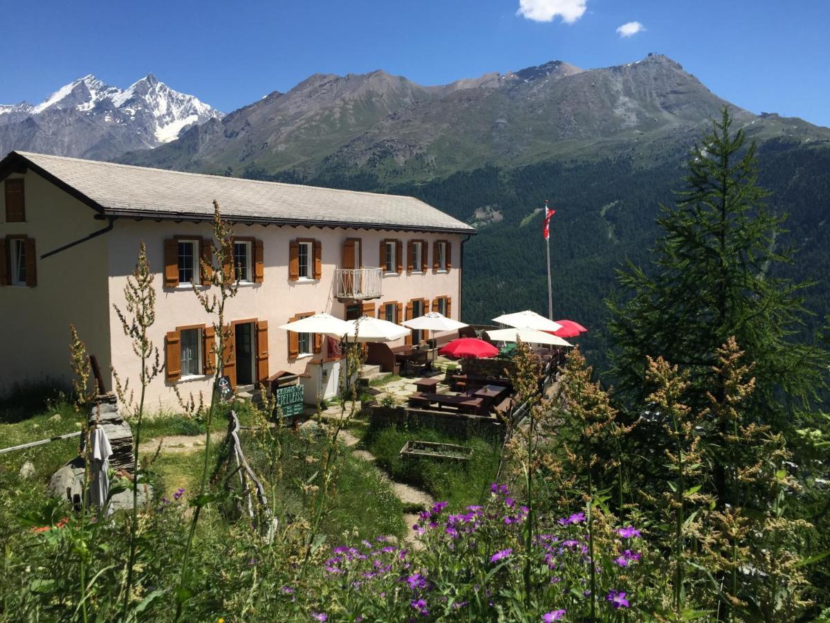 Edelweiss Zermatt - Mountain Hotel Lodge