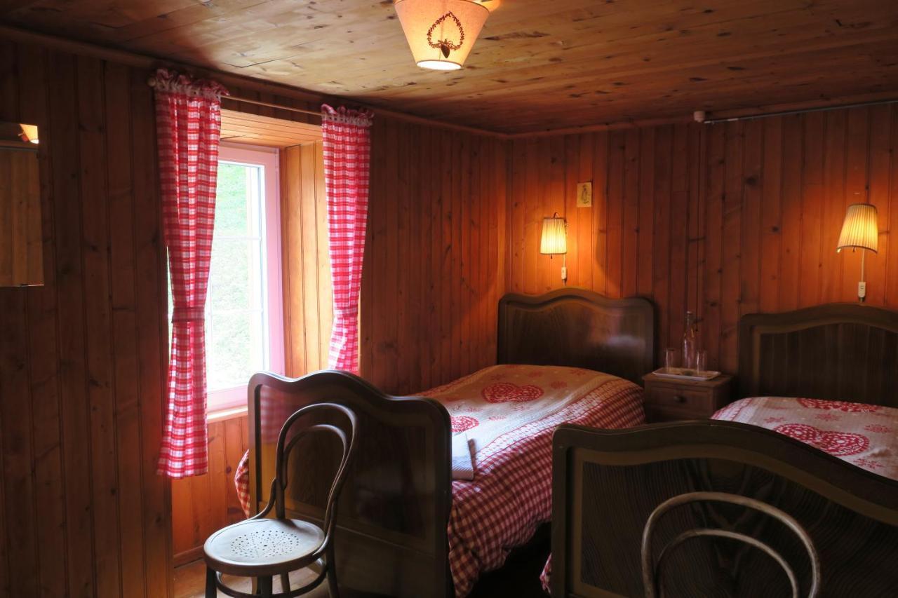 Edelweiss Zermatt - Mountain Hotel *
