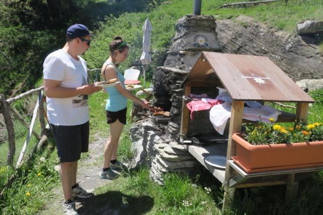 Lodge Edelweiss Mountain Guest House - 1 Hour Hike Up From Zermatt Station - On Hiking Trail - No Transport Zermatt