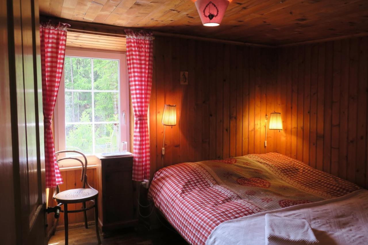 Edelweiss Zermatt - Mountain Hotel Lodge Zermatt