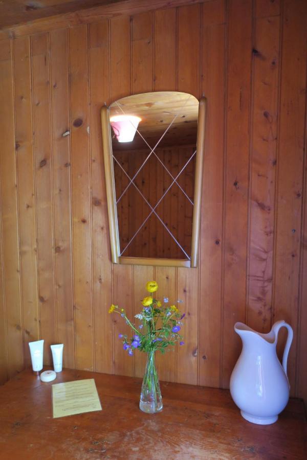 Lodge Edelweiss Mountain Guest House - 1 Hour Hike Up From Zermatt Station - On Hiking Trail - No Transport Zermatt