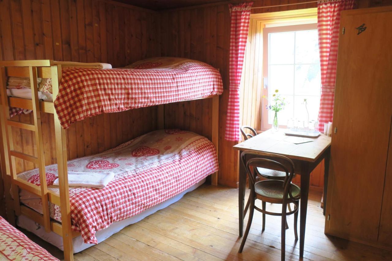 Edelweiss Zermatt - Mountain Hotel Lodge Zermatt