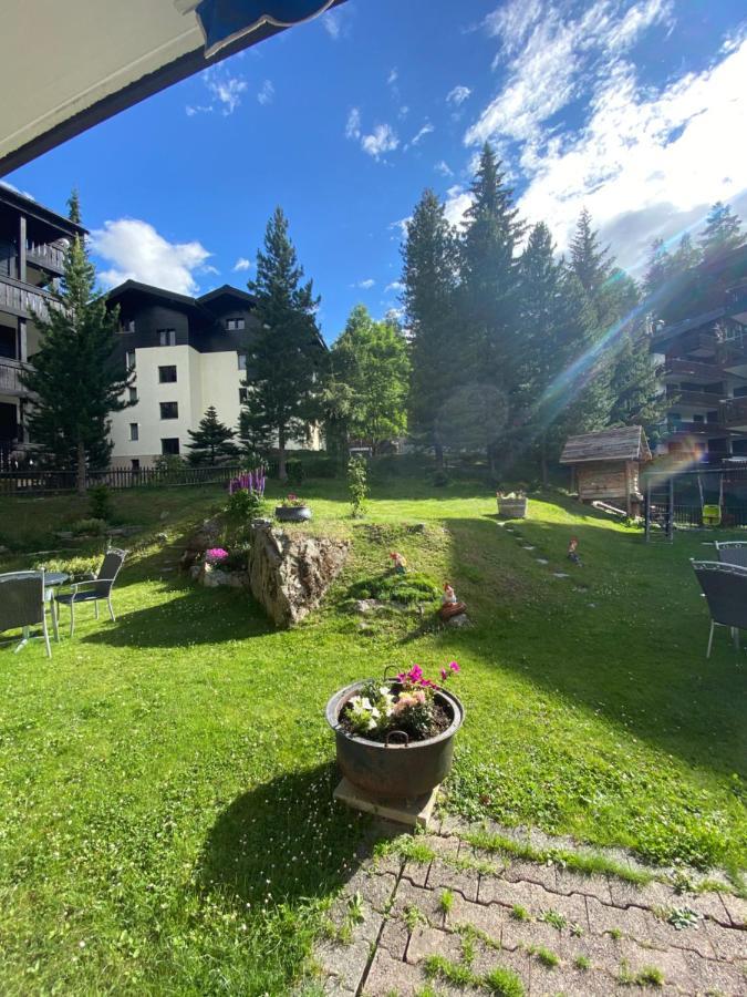 Adonis Hotel 3*