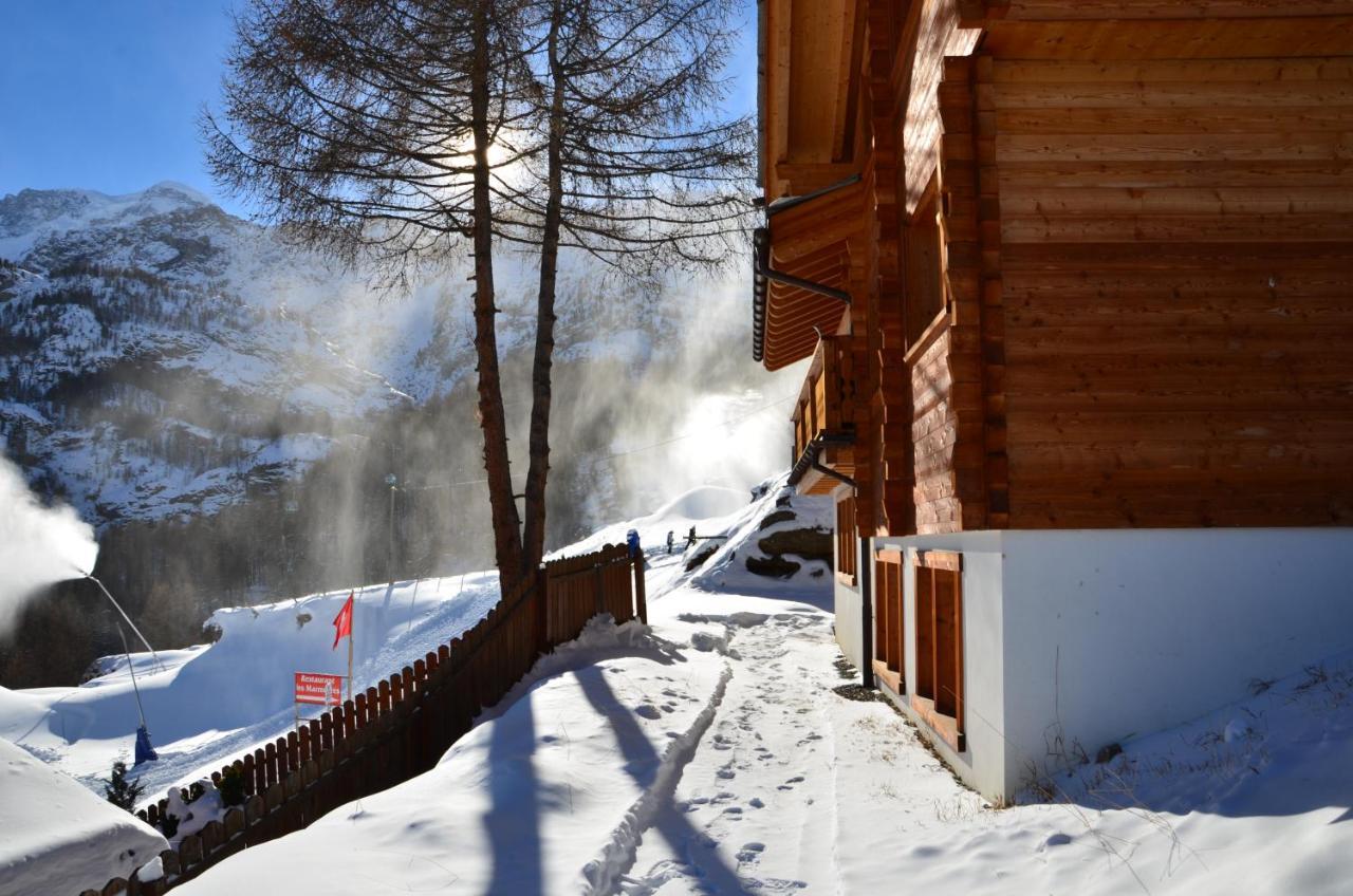 Les Marmottes Apartment Zermatt