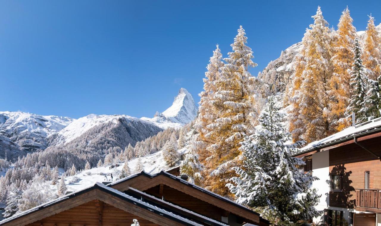 And Penthouse Zen, Two Properties, 100m From Lift And Piste
