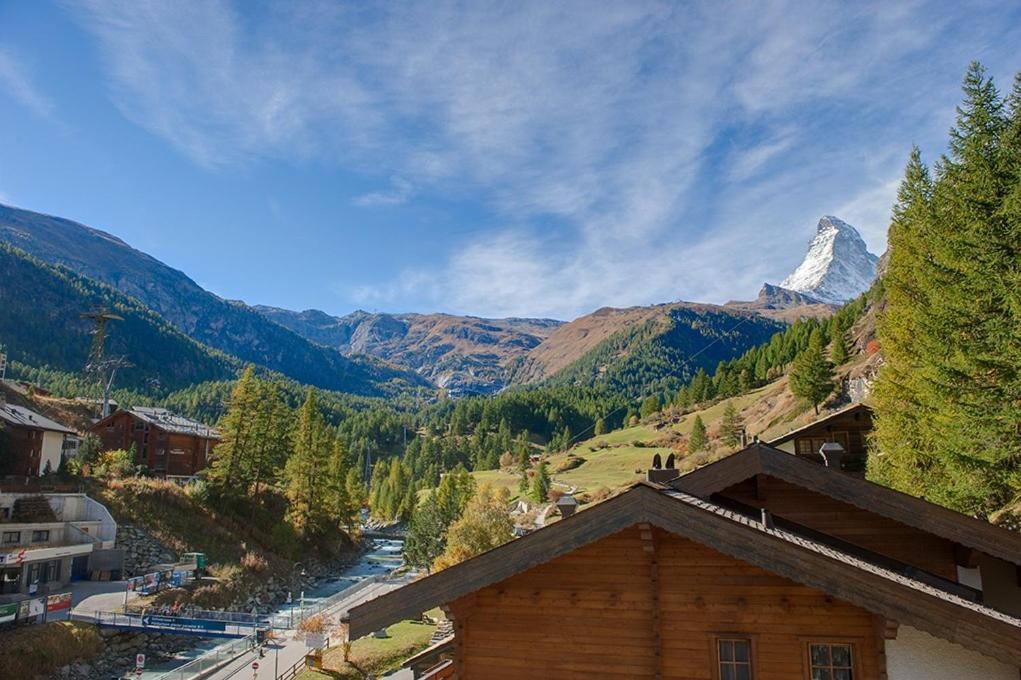 Chalet And Penthouse Zen, Two Properties, 100m From Lift And Piste