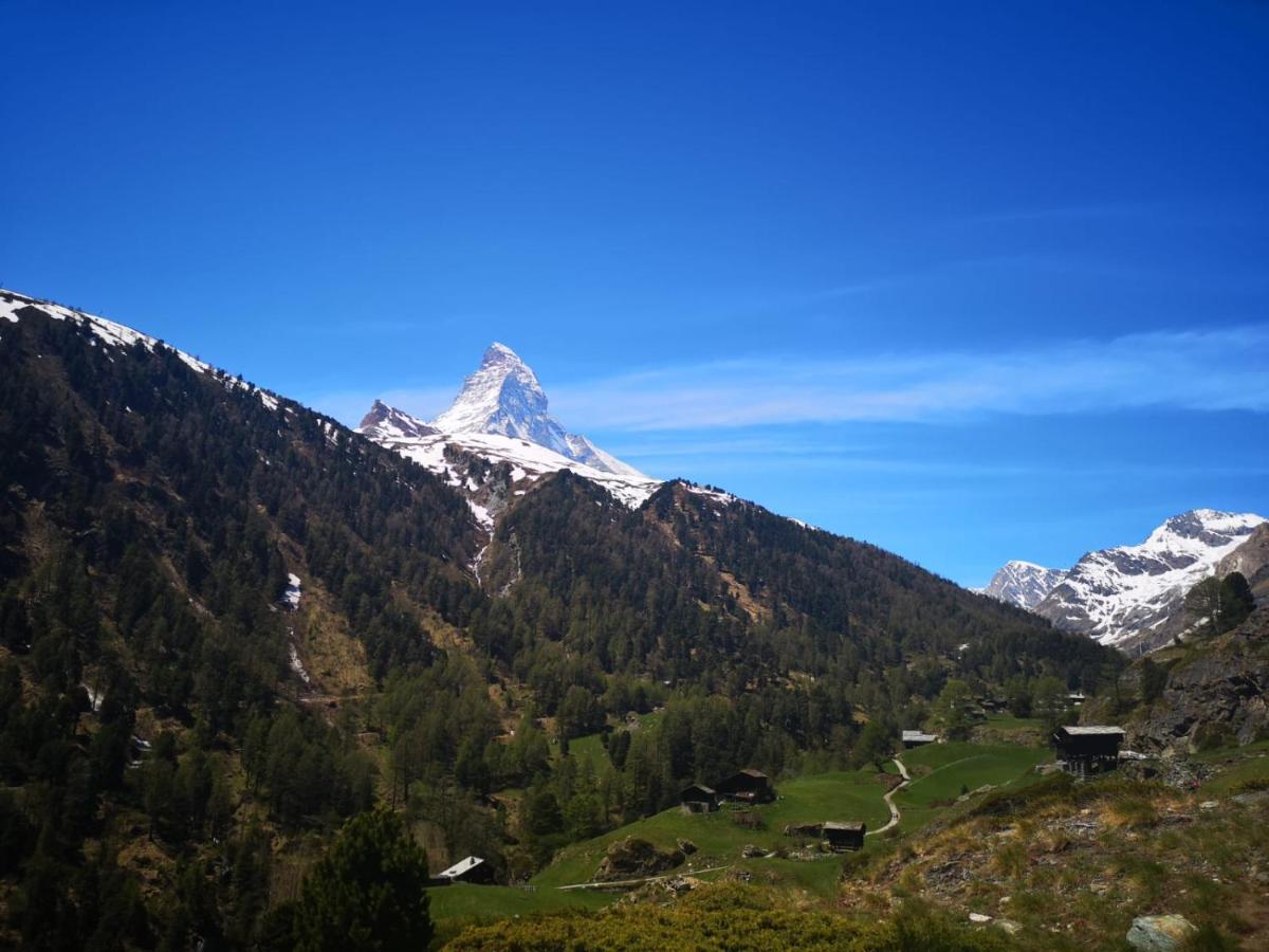 Kirchplatz Lupus & Cervus Apartment Zermatt