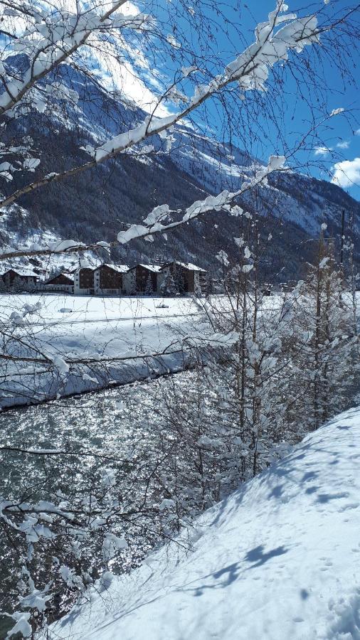 Apartment Monte Rosa