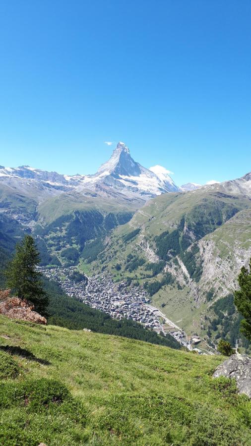 Apartment Monte Rosa