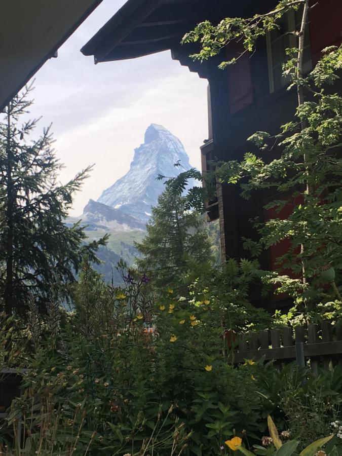 Apartment Mountain Nr 6