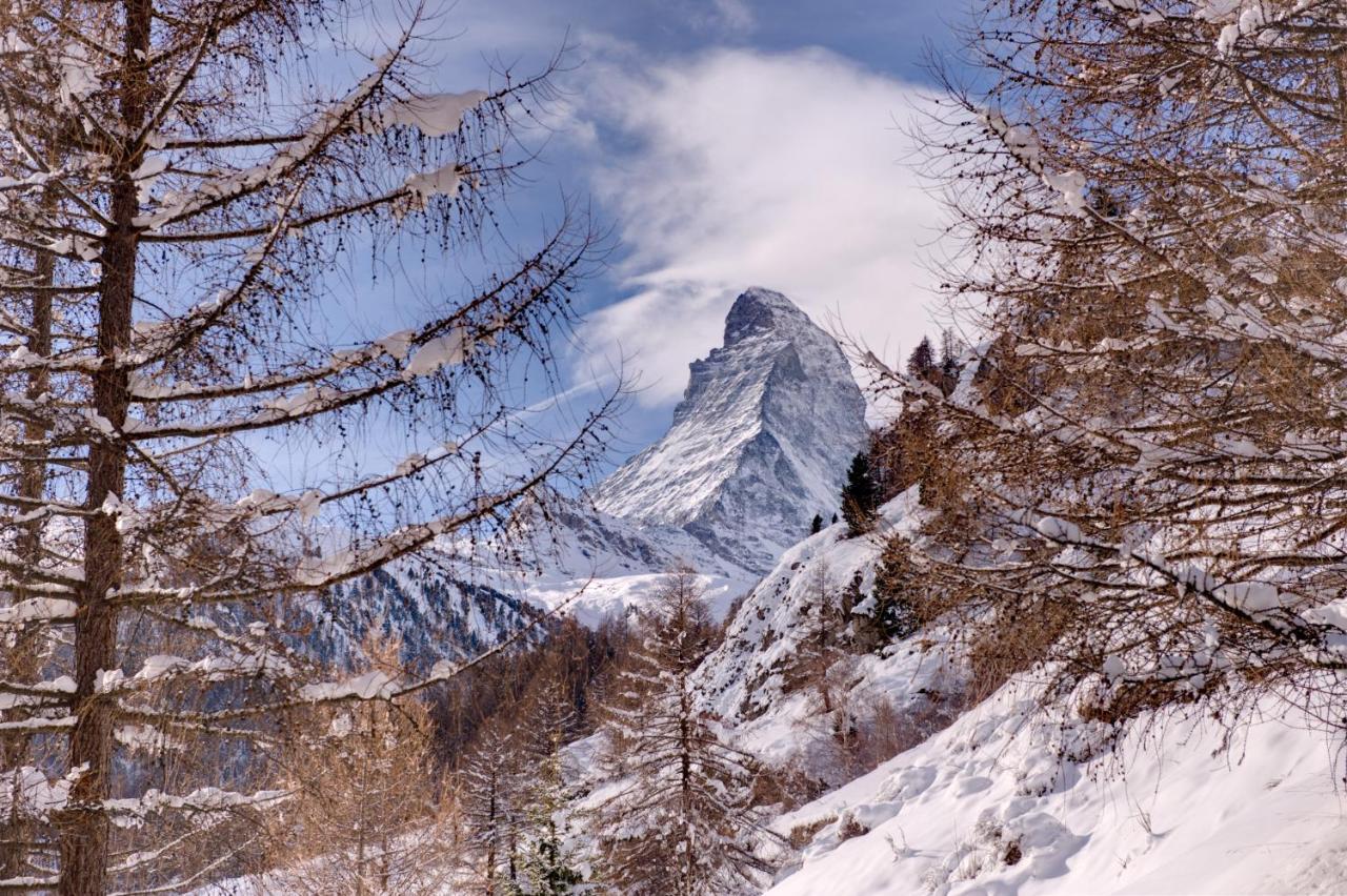 Zen Zermatt, 100m From Lift And Piste