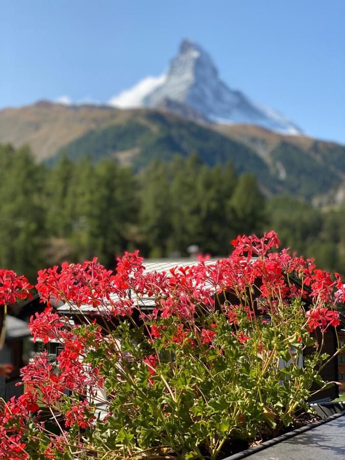 Bull Apartment Zermatt
