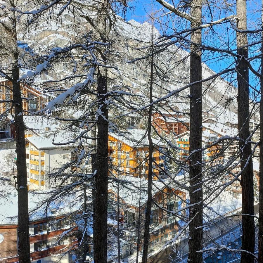 Apartment Apartmenthaus Sun Valley & Zodiac