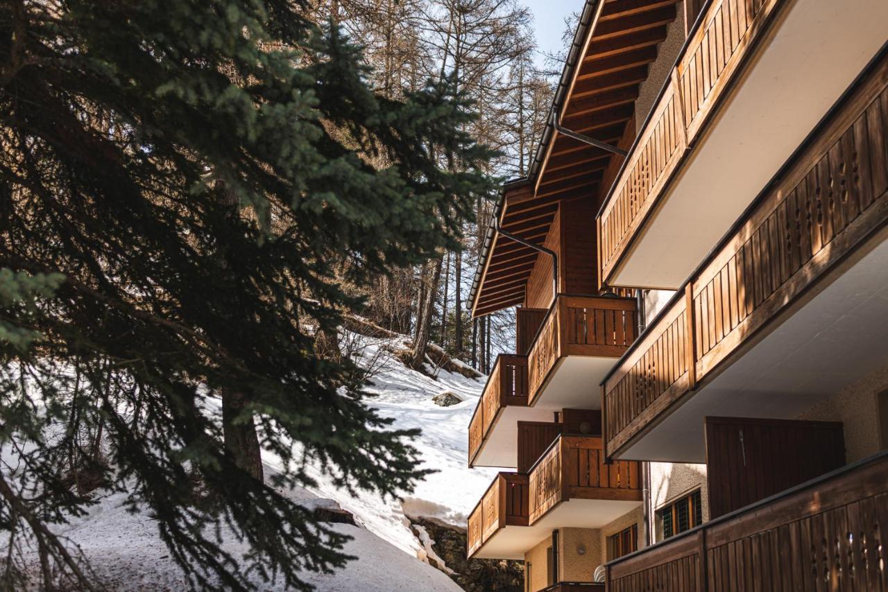 Balmas Paradies-perfect Family *
