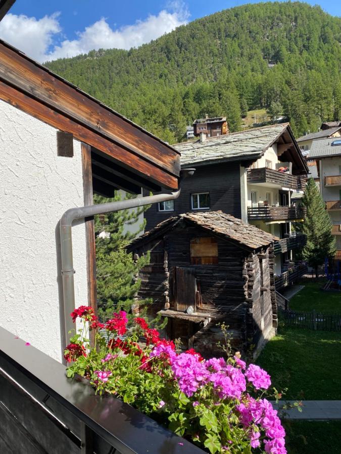 Hotel Adonis 3*