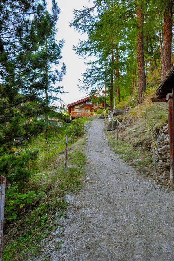 Lani By Interhome Apartment Zermatt
