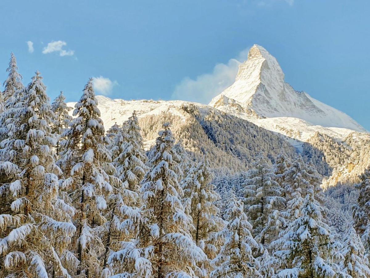 Nirwana By Interhome Apartment Zermatt