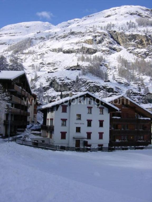 Apartment Chalet Helena - Pasquale *