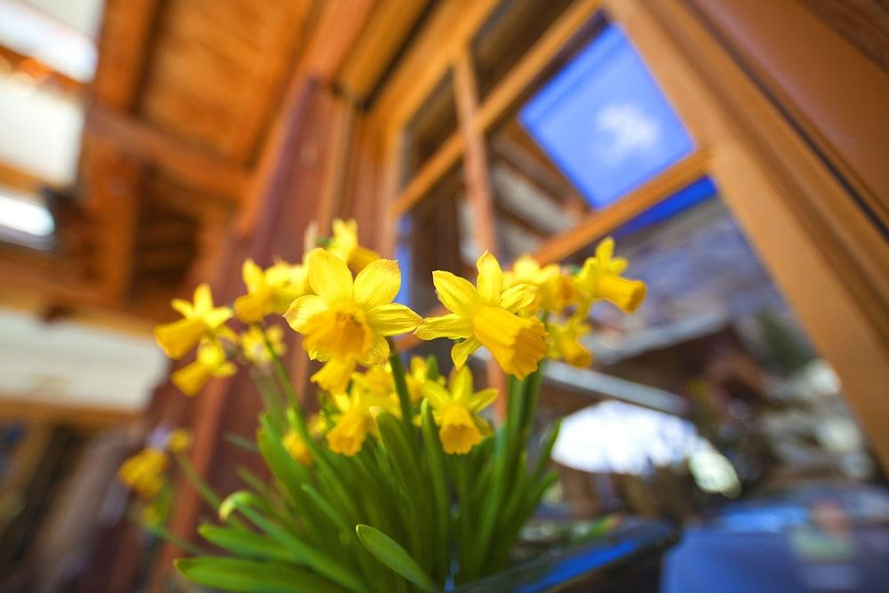 Hotel Sunstar Zermatt
