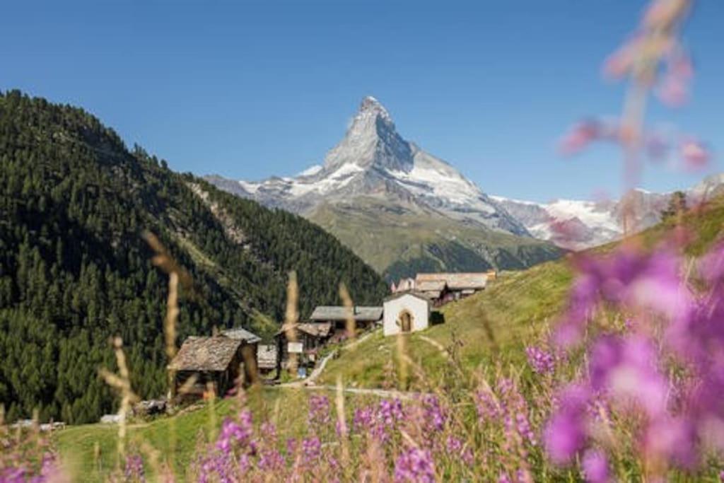Apartamento Chalet Rofel Zermatt