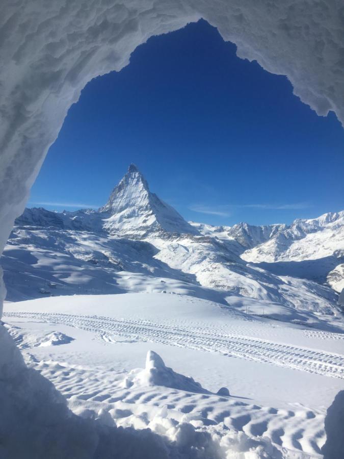 Modernes Apartment Zermatt