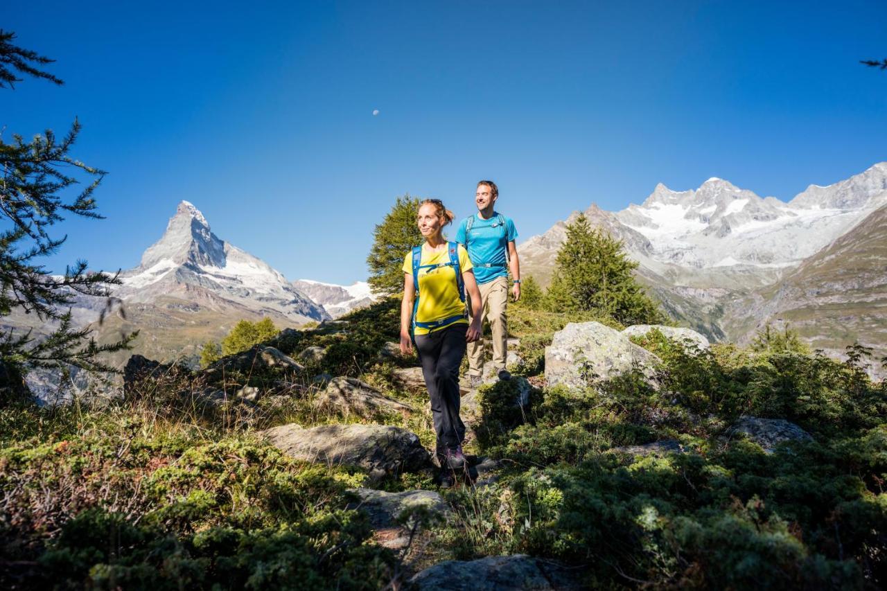 Hotel Alpenblick 3*