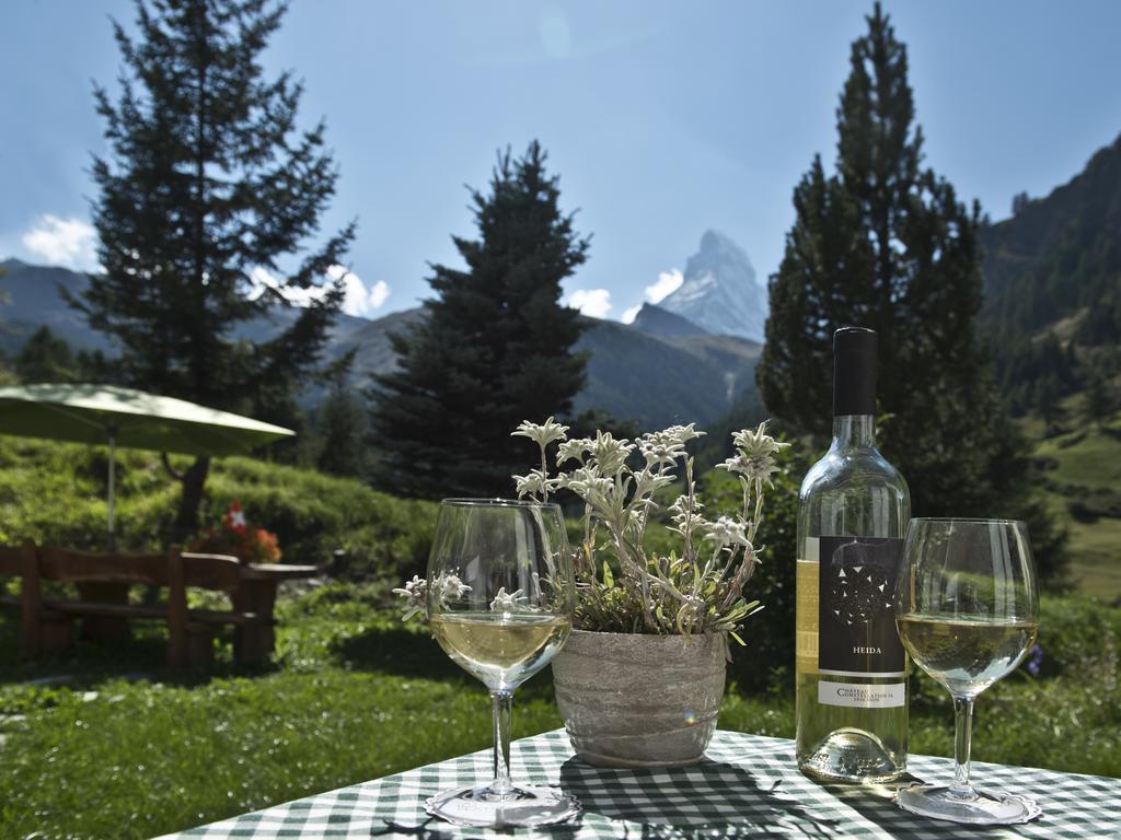 Plateau Rosa Hotel 3*