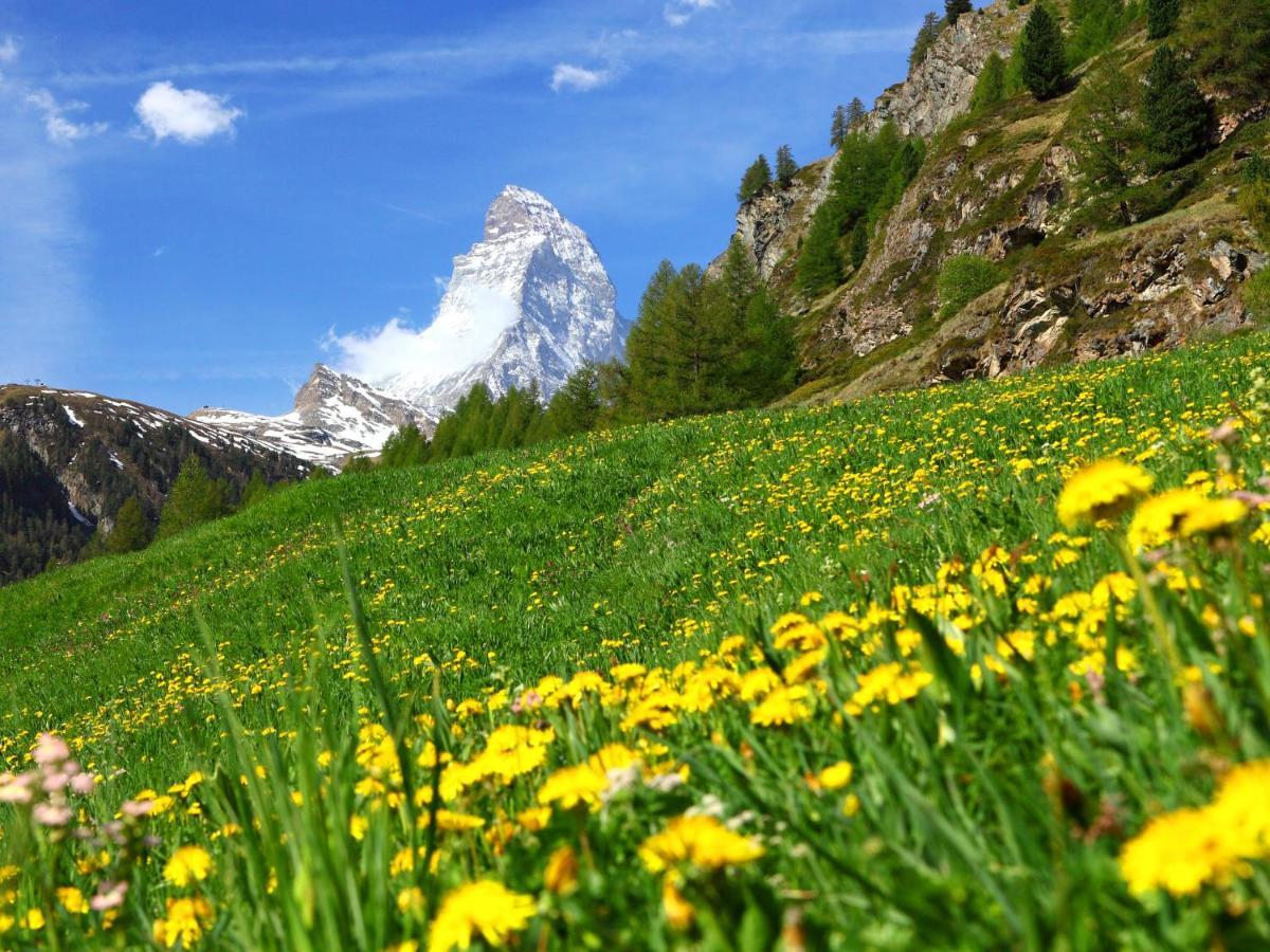 Gamma By Interhome * Zermatt