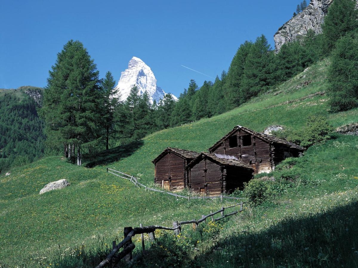 Armina By Interhome Zermatt