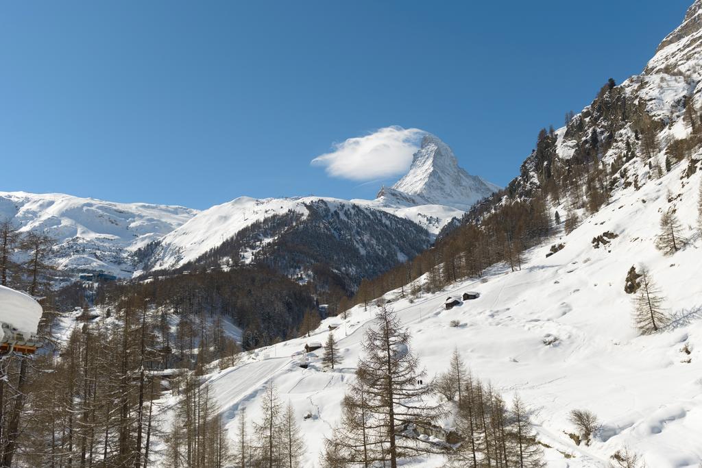 Telemark * Zermatt
