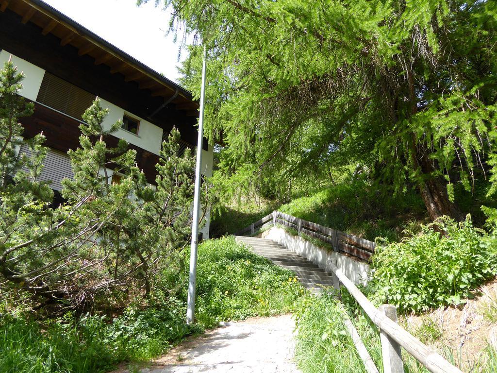 Memory * Zermatt