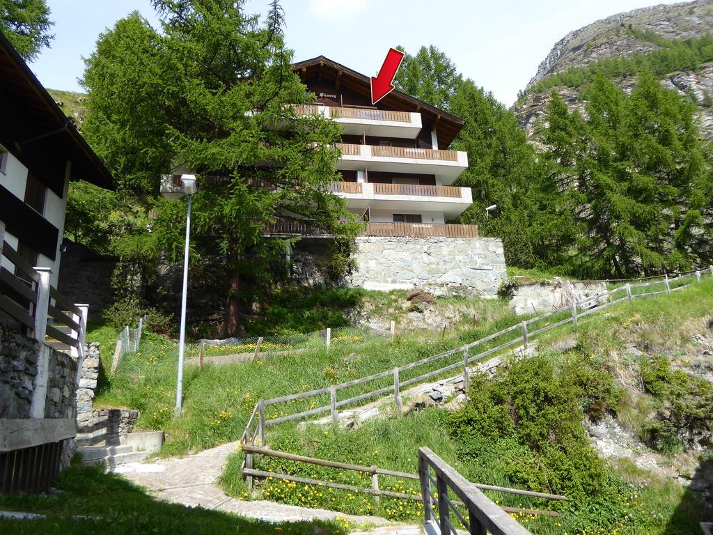 Memory * Zermatt
