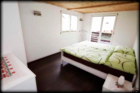 Haus Rosa Apartment