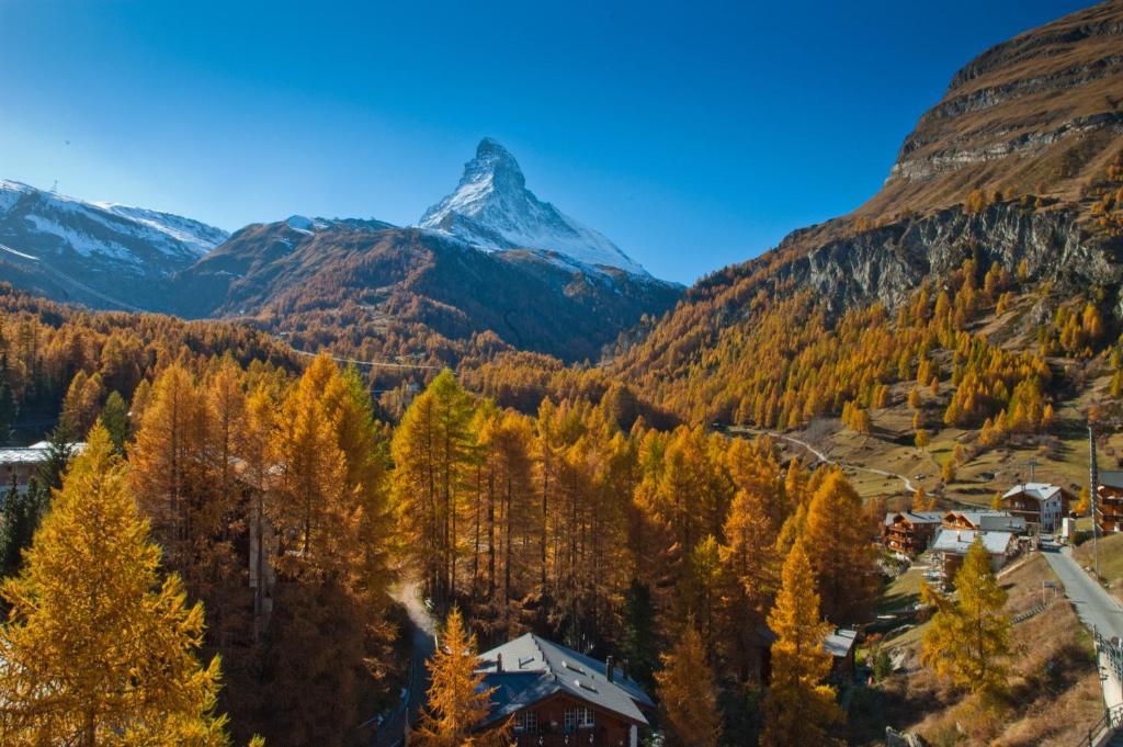 Z`wichjehüs Zermatt