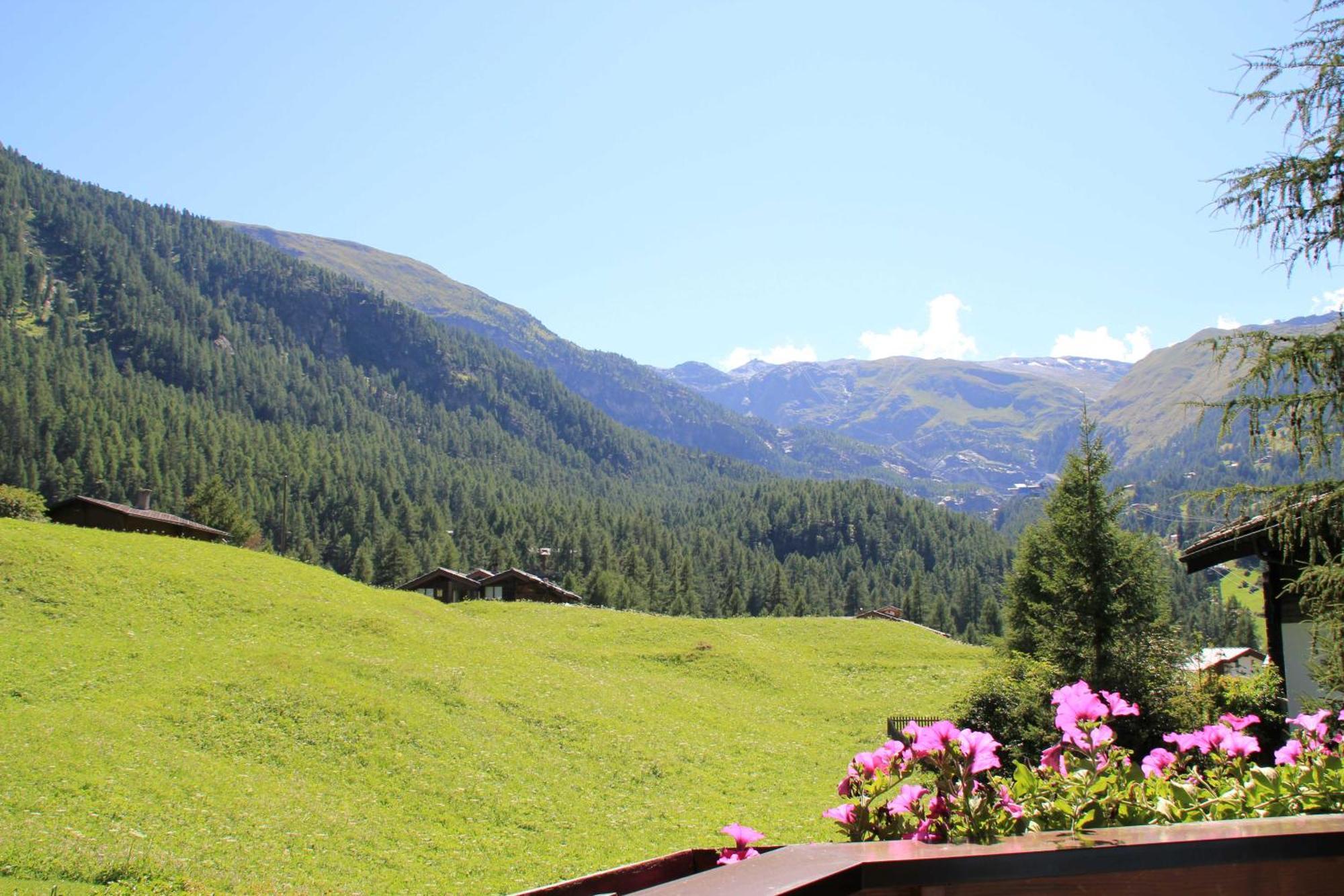 Apartment Haus Pan Zermatt