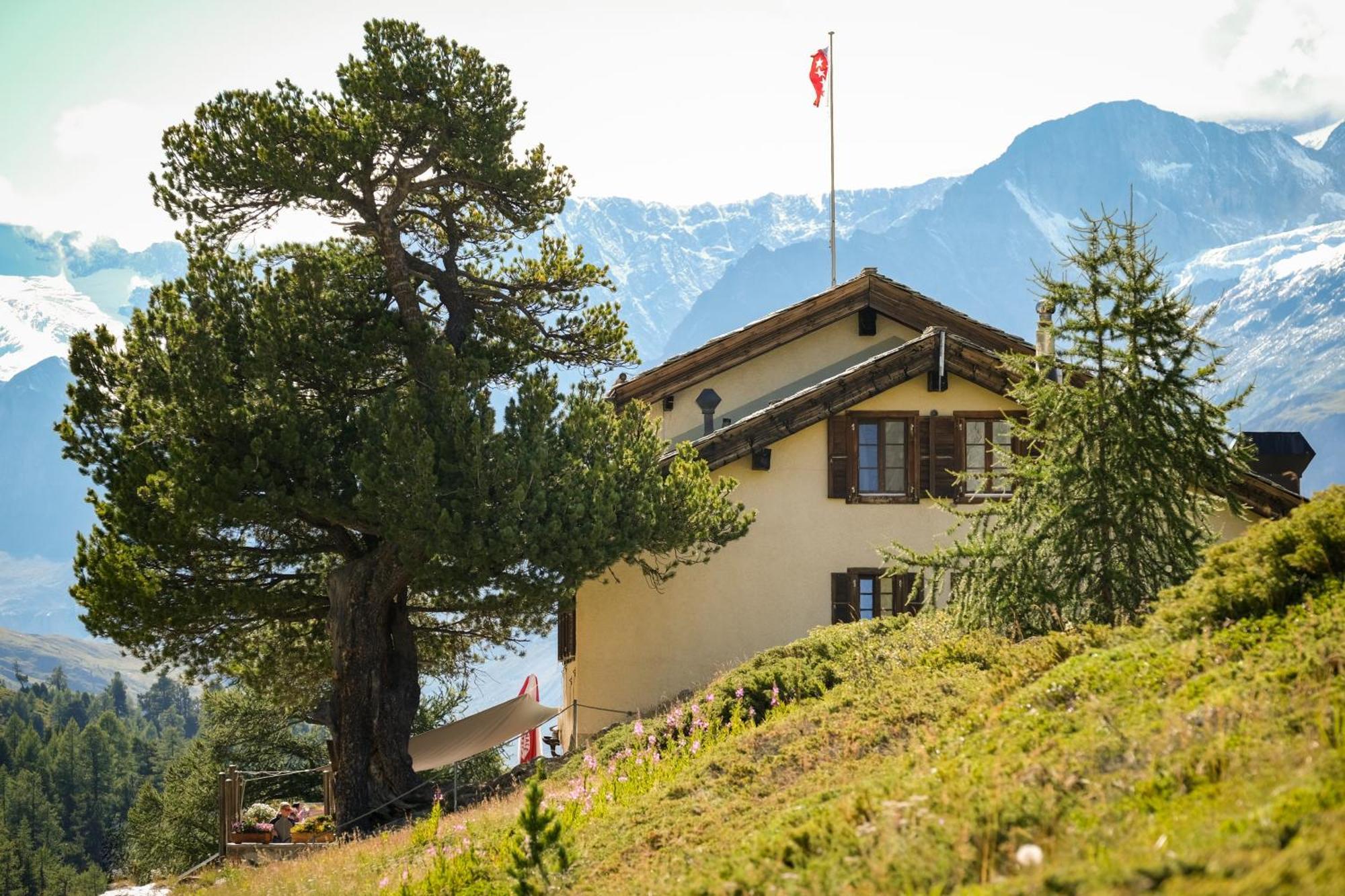 Mountain Ze Seewjinu - Above Zermatt