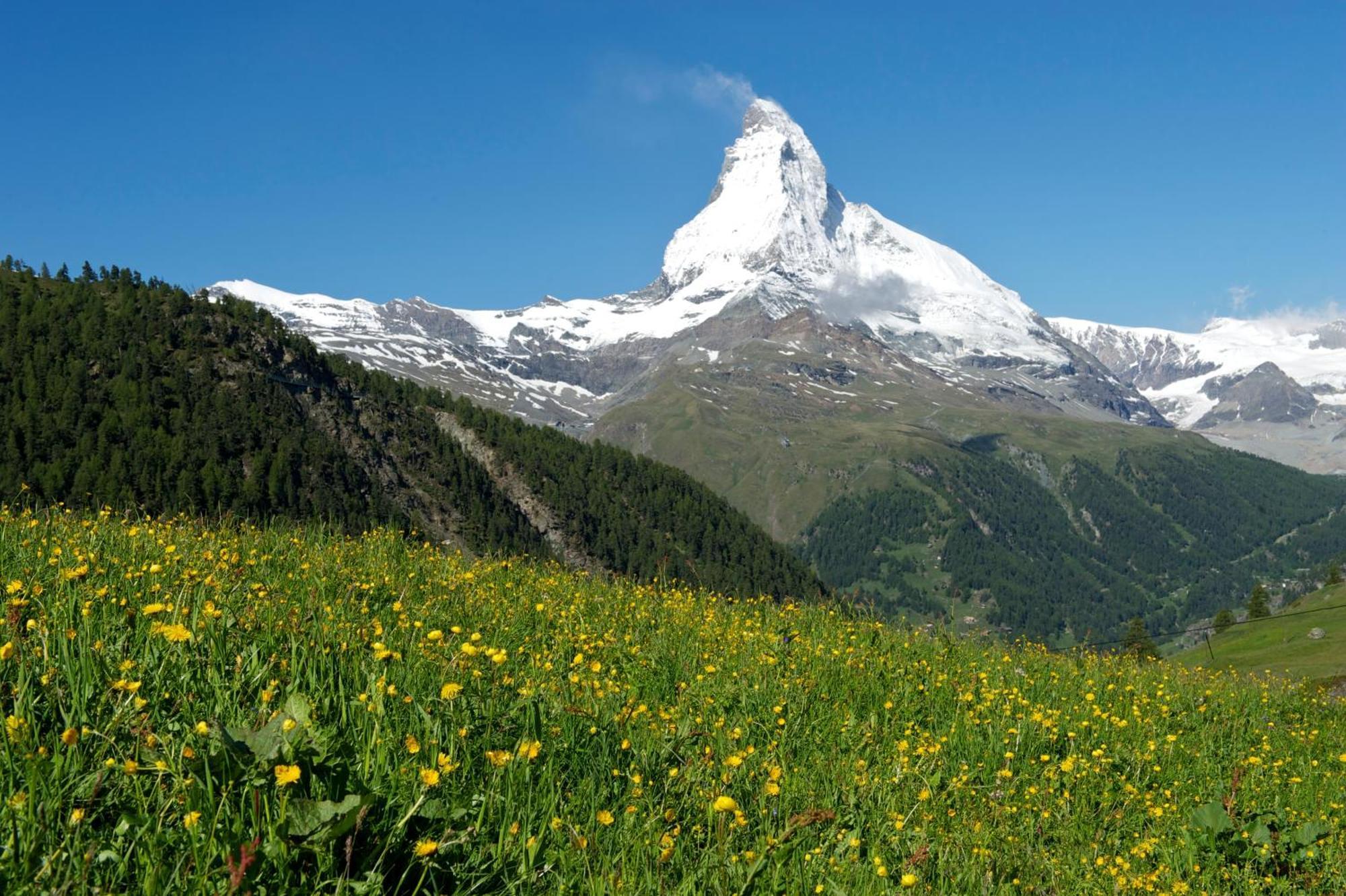 Garni Testa Grigia Zermatt