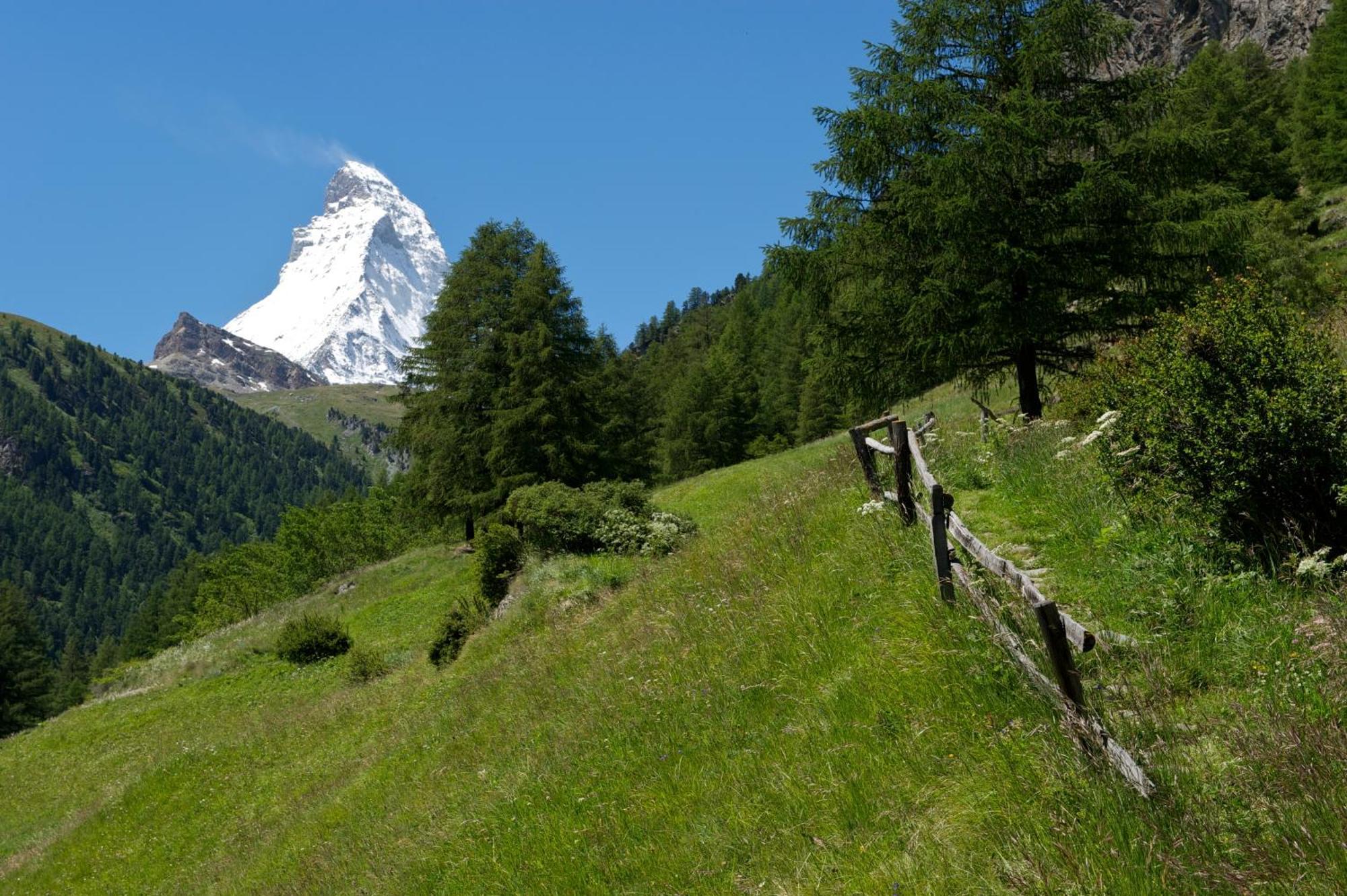 Garni Testa Grigia Hotel Zermatt