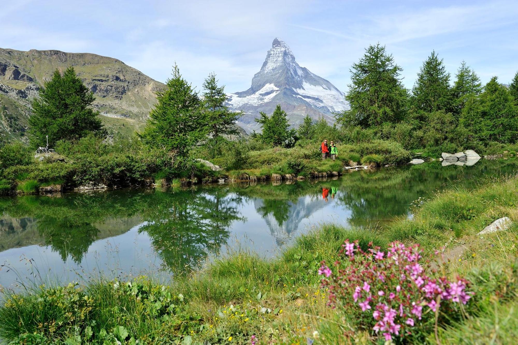 Garni Testa Grigia 3* Zermatt