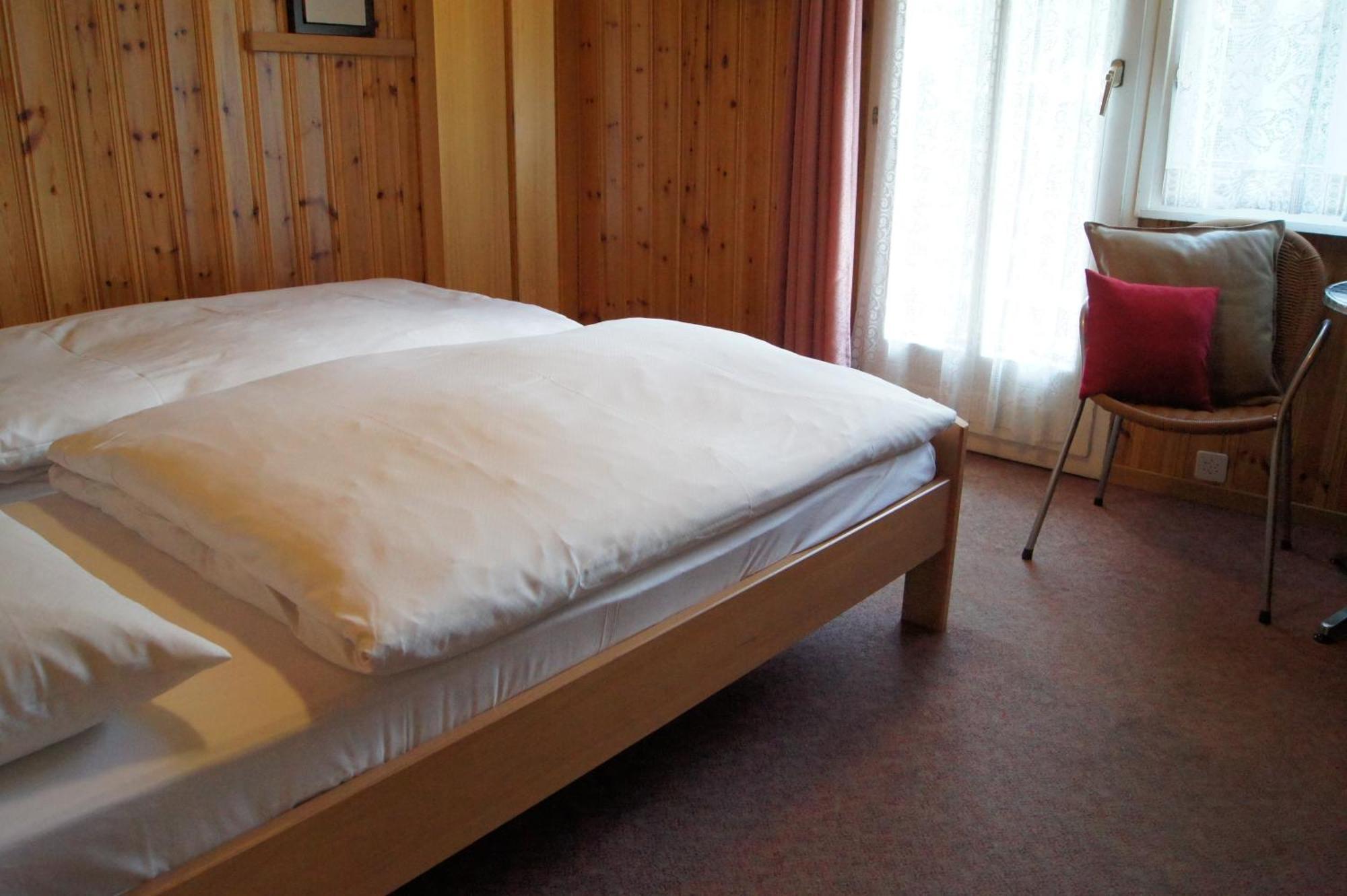 Hotel Alpina 2*