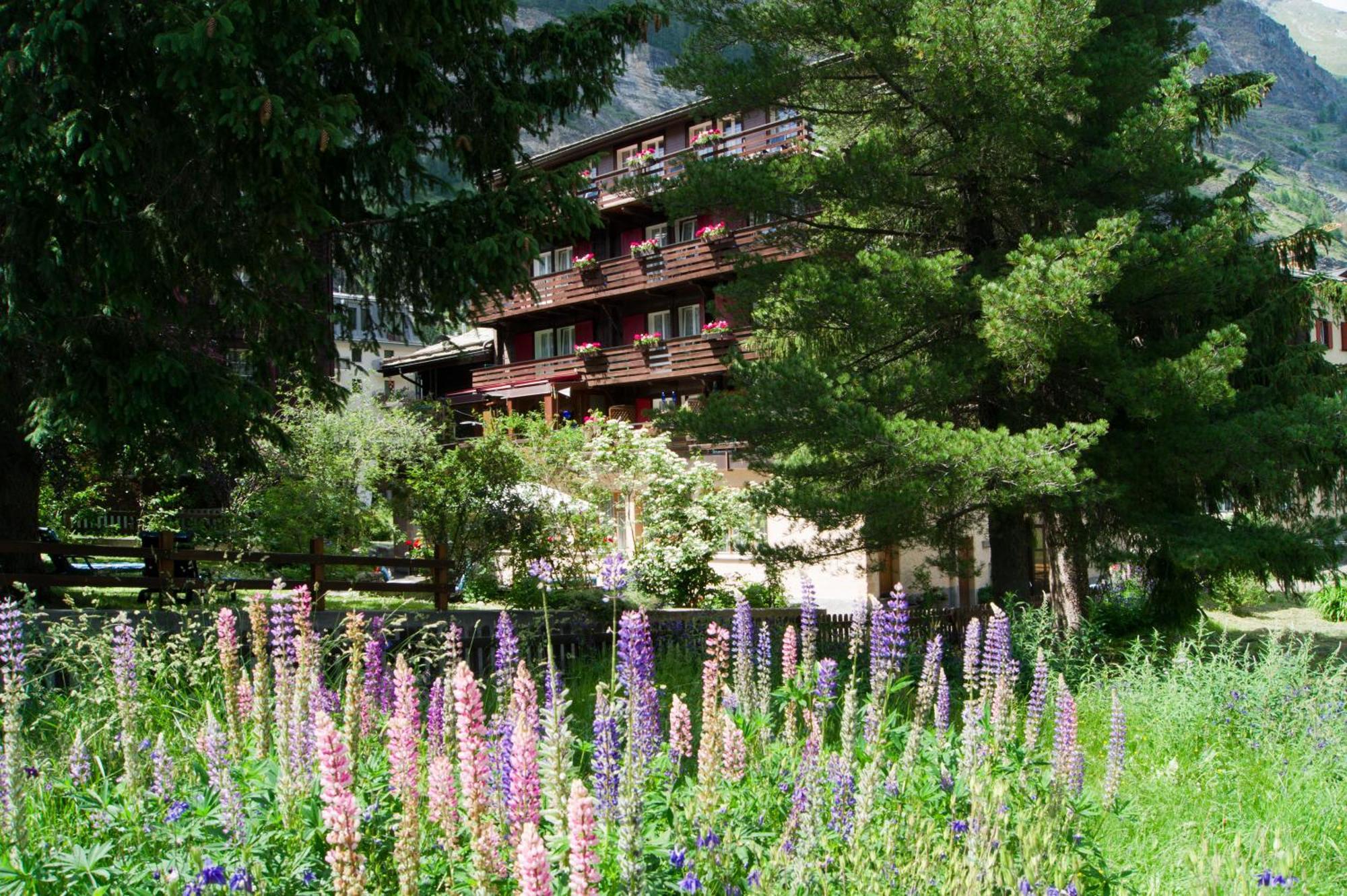 Alpina Hotel Zermatt