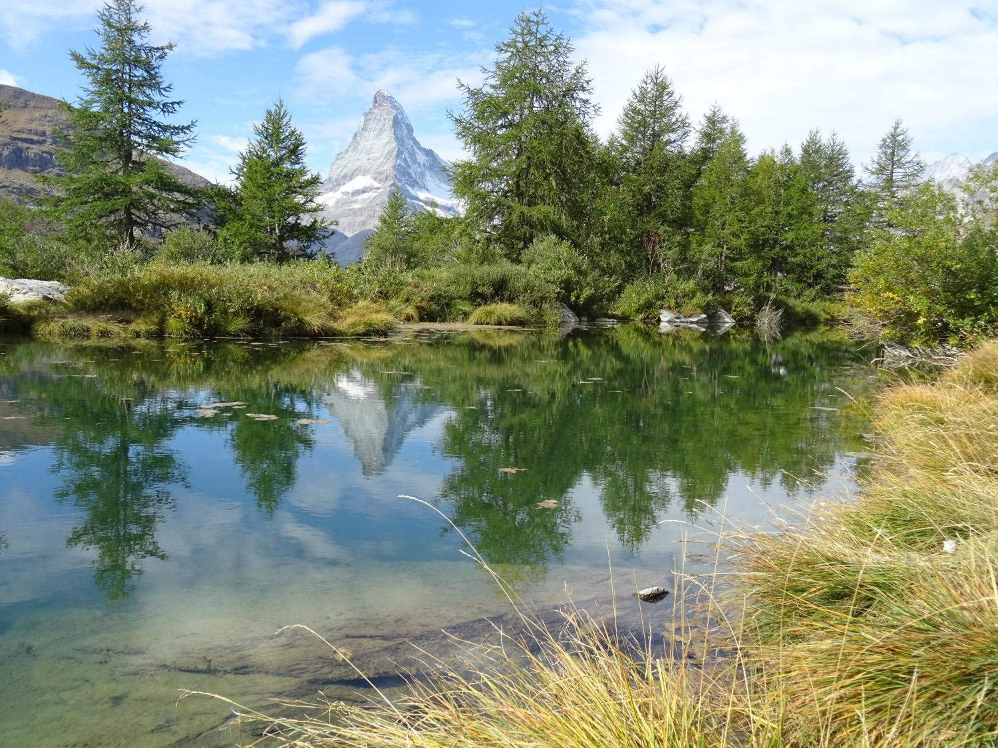 Hotel Phoenix Zermatt