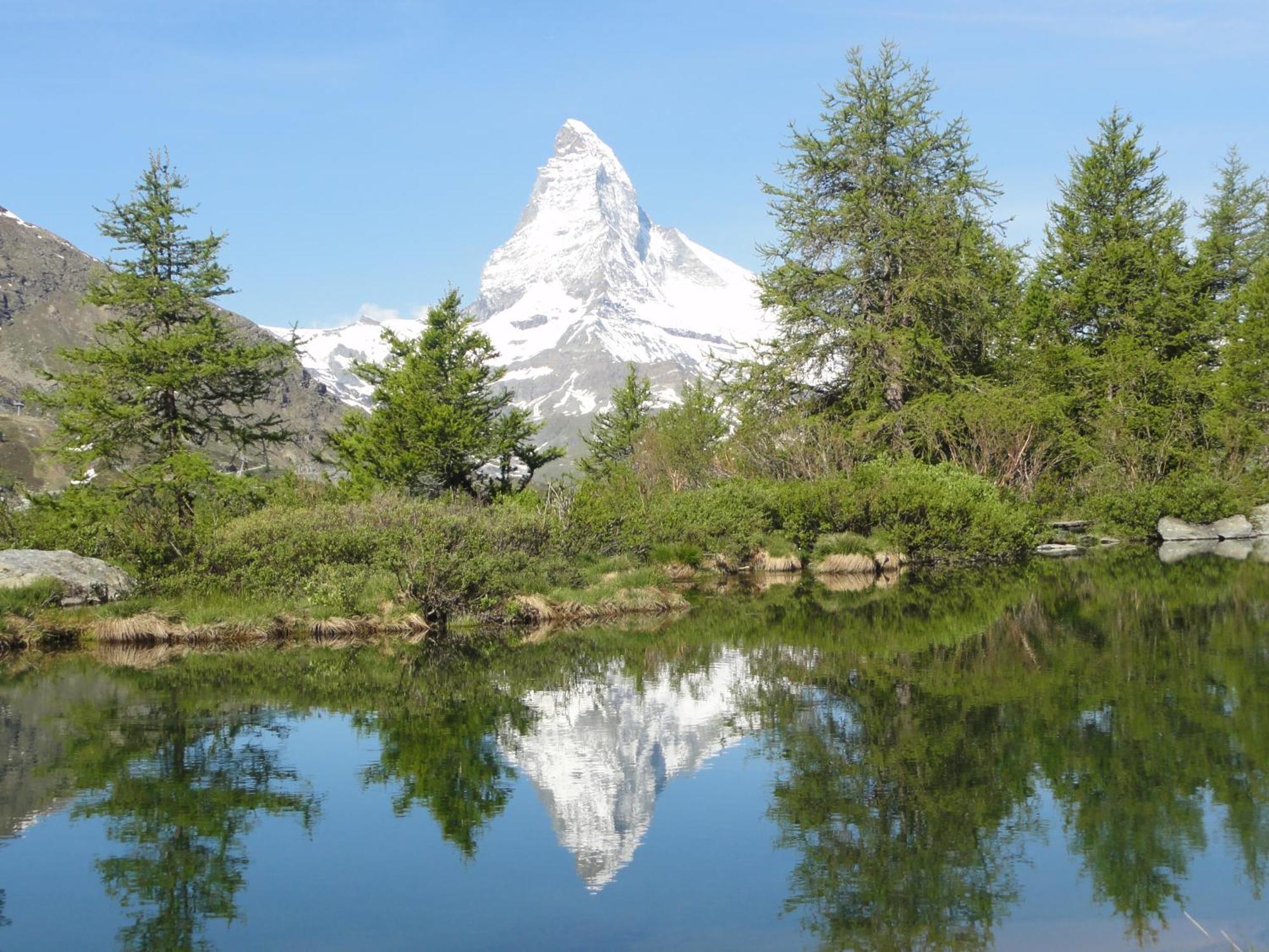 Hotel Phoenix Zermatt