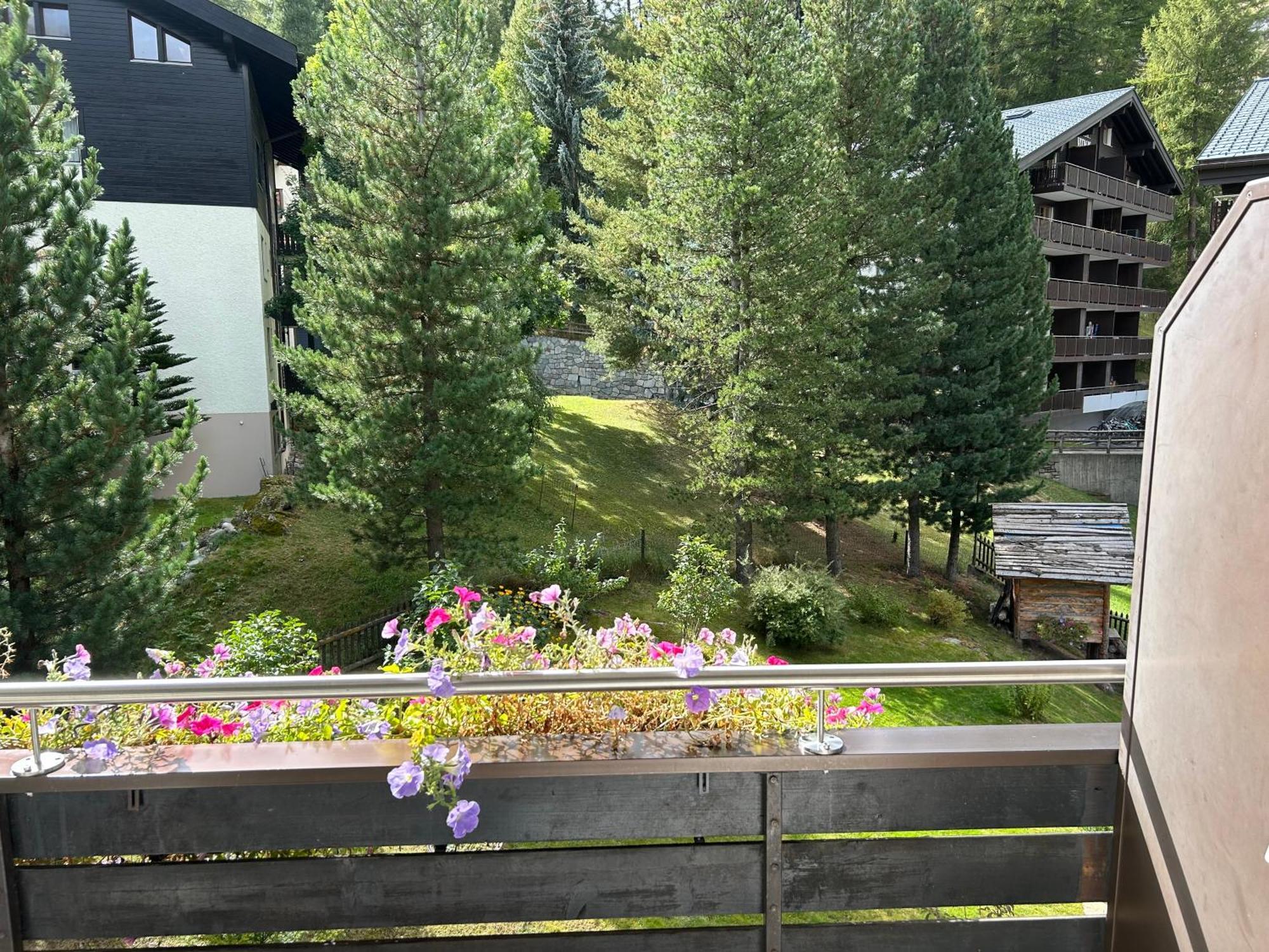 Adonis Zermatt