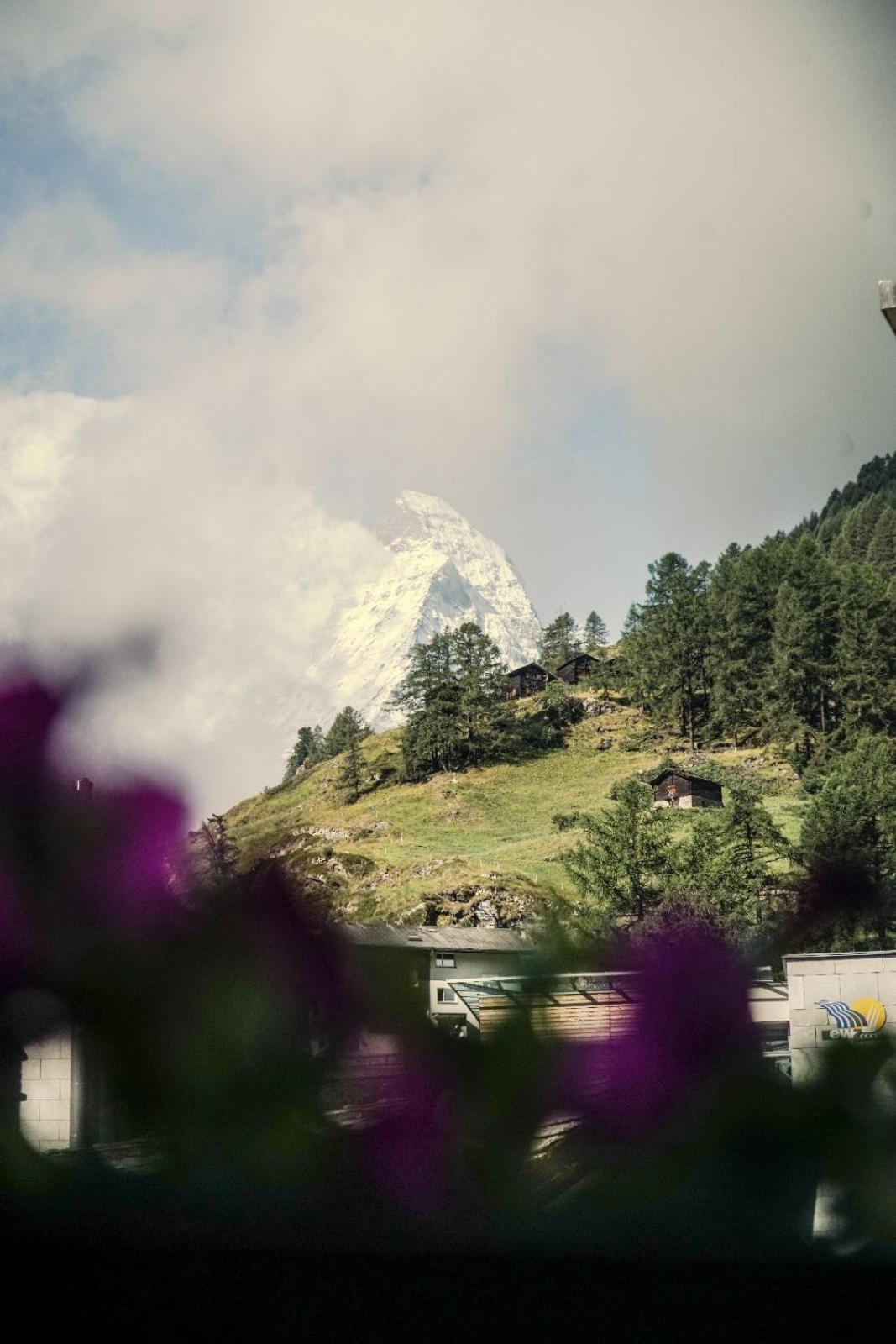 Taugwalder I Matterhorn Apartment Zermatt