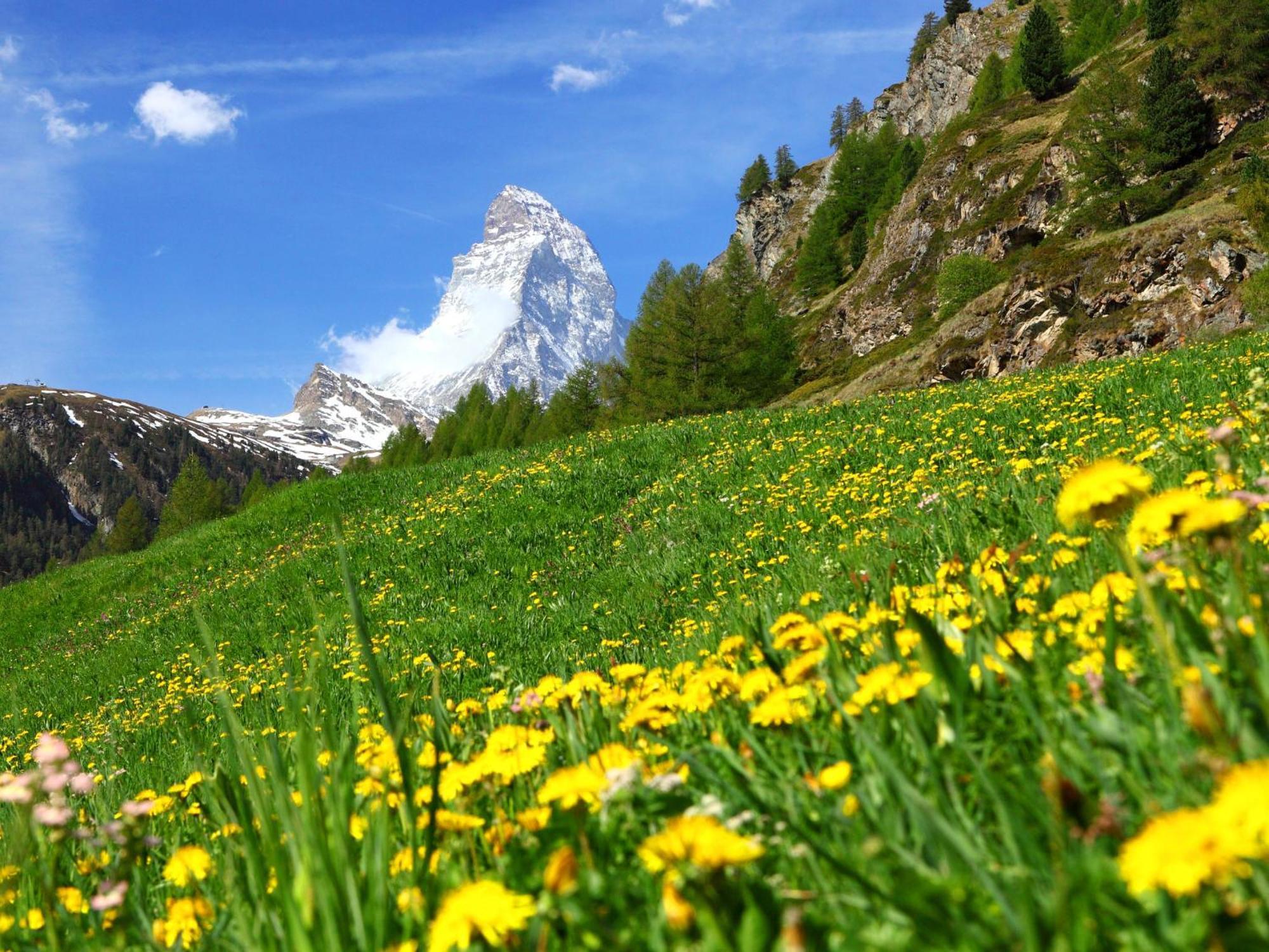 Apartment Dianthus-3 By Interhome Zermatt