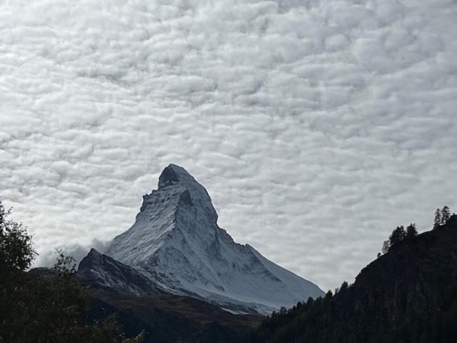 Styria Zermatt
