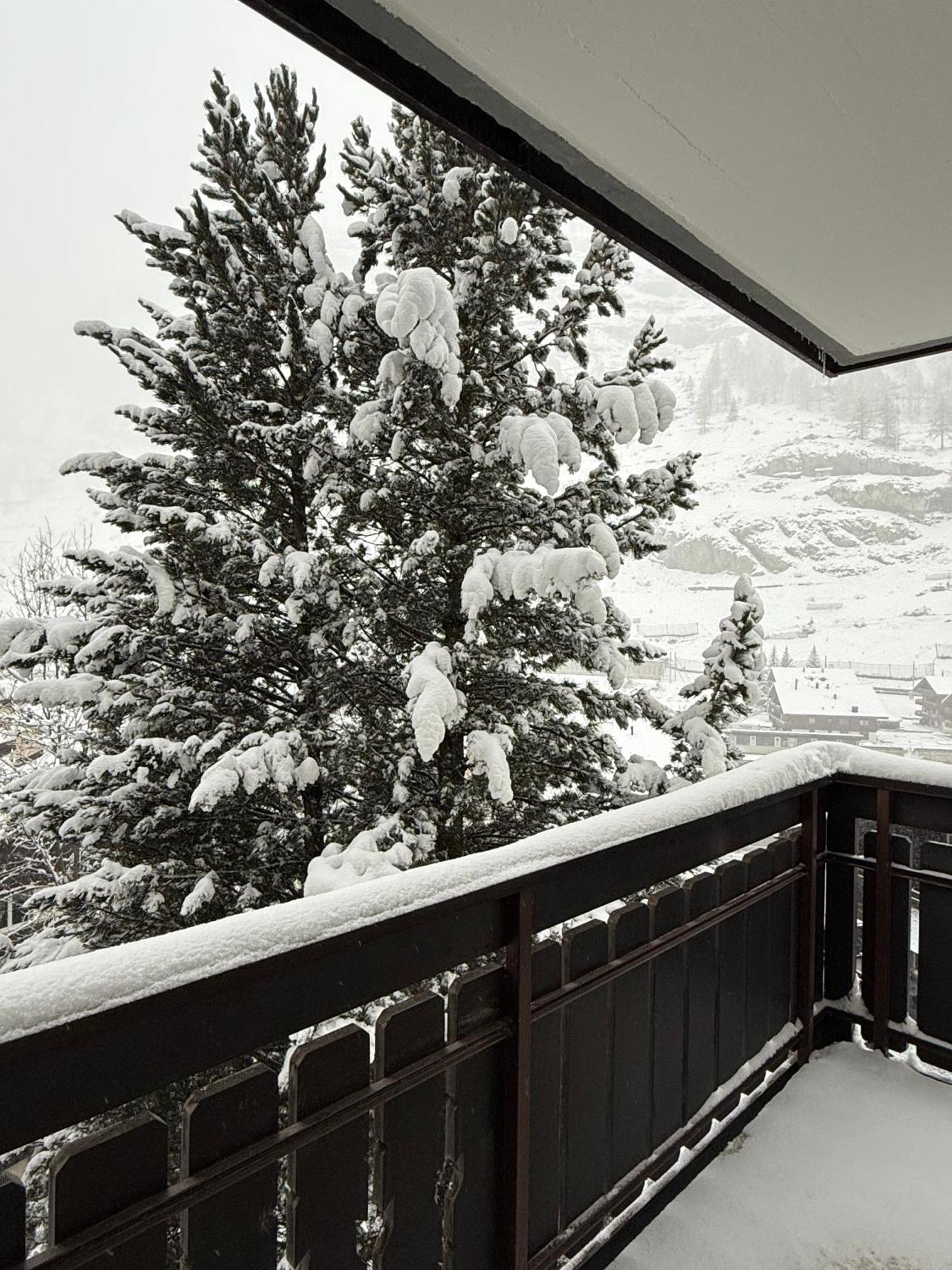 Snowball, Modern, Cosy, Matterhorn Views Apartment Zermatt