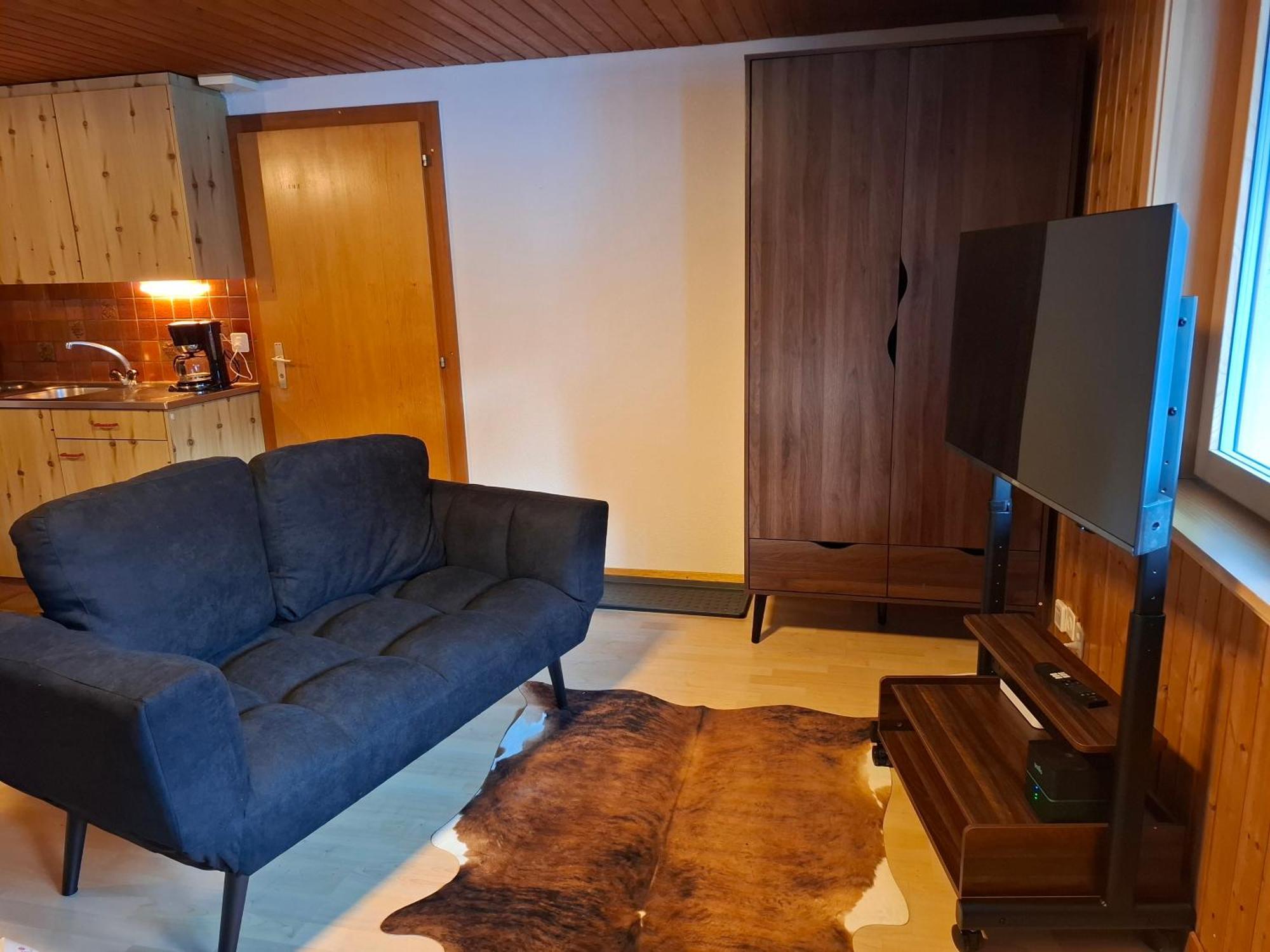 Apartment Morenka *